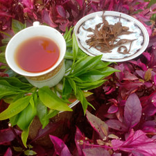 Ceylon Black Tea Orange Pekoe OPA A Highest Grade Leafy Finest 25g Free Shipping