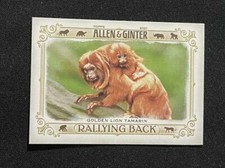 2021 Allen and Ginter Rallying Back #RB-8 Golden Lion Tamarin NM-MT