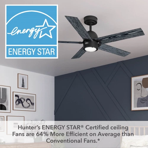 Hunter 52 inch Erling ENERGY STAR® Matte Black Ceiling Fan, Light Kit, Remote - Picture 6 of 16