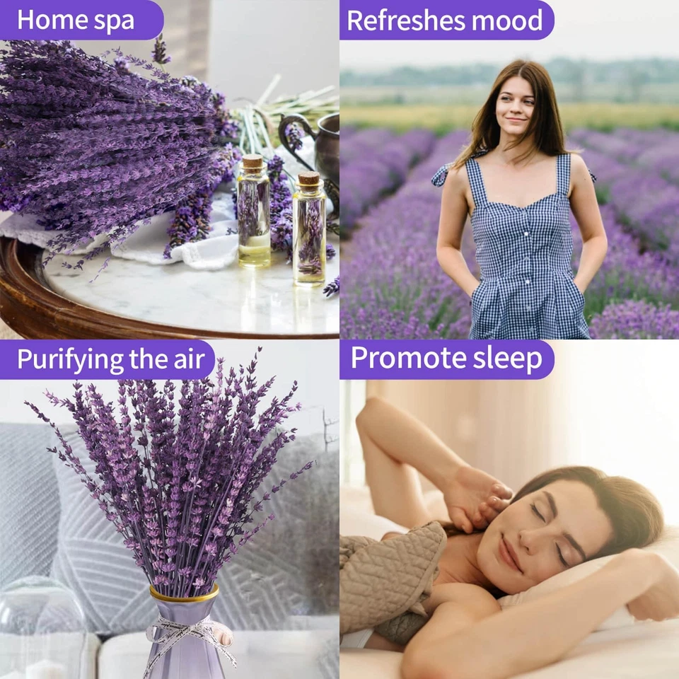 Elegant Dried Lavender Bouquet 15-17 Inches Preserved Purple Flowers for Home - Image 4 of 4