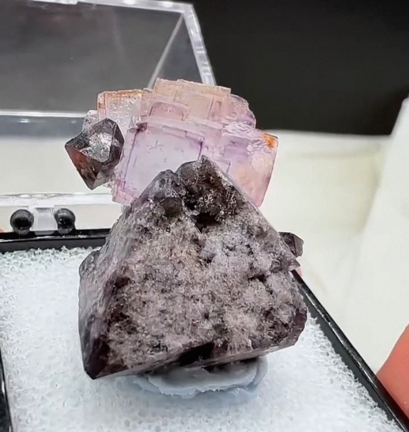 Natural scheelite and purple fluorite occur together and are from Hunan, China.