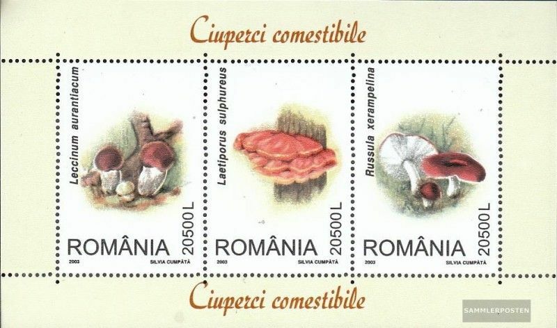 Imagen 1 de 1