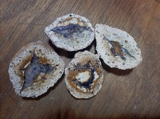 Set of 4 Wingeshausen Thundereggs - Rare - goethite, crystal and weathered agate