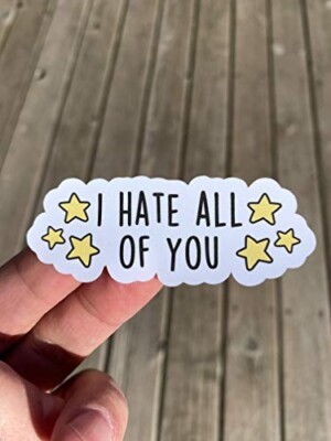 i hate all of You Sticker Laptop Water Bottle Sticker Phone Sticker | eBay