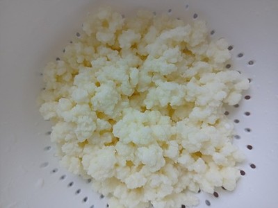 Milchkefir, 1 Teelöffel voll, Kefirknollen, Tibetanischer Pilz, Kefir, Kefirpilz