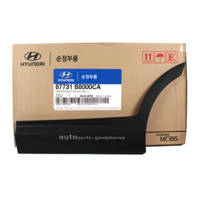 Genuine 2013-2019 Hyundai Santa Fe XL 3.3L 6-7 Seat Rear Door