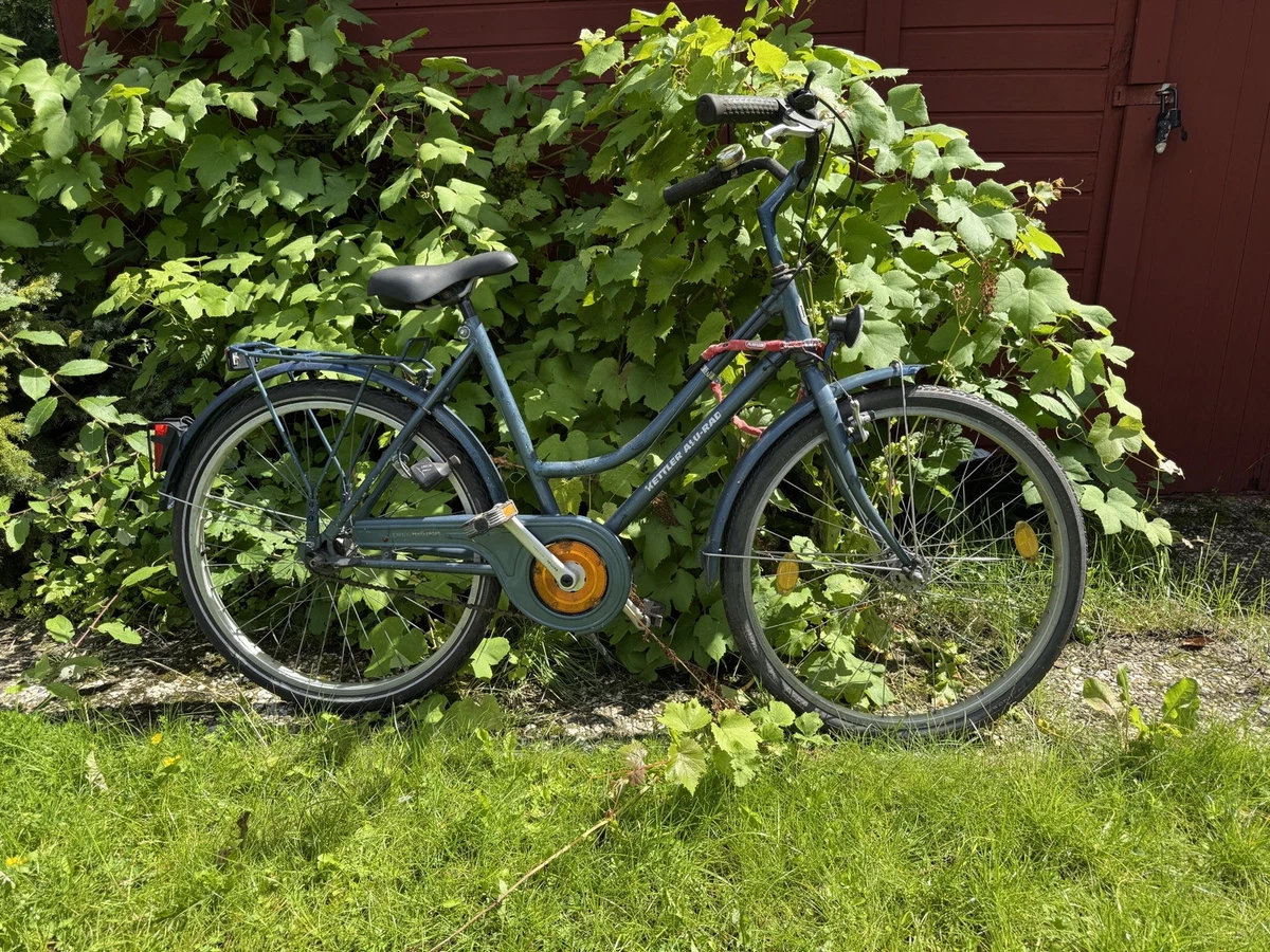 hollndisches fahrrad kaufen Gazelle G-Touren Damen Hollandrad 28 Zoll 5-Gang Rcktritt kaufen  Der  Hollnder Fahrradgeschft