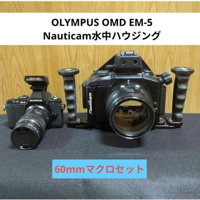 OLYMPUS OMD EM-5 Nauticam Housing, Underwater, Diving