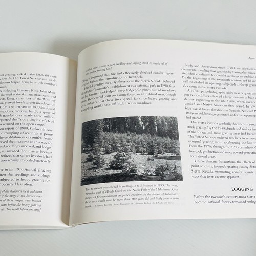 Fire in Sierra Nevada Forests by George E. Gruell Paperback 2002 - Picture 13 of 18