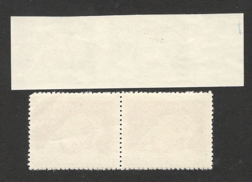 NDH CROATIA - MNH PAIR -CERTIFICATE-PICTURE IS ON THE RUBBERED SIDE-ERROR -1944. - Image 2 of 4