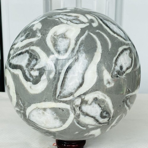 Natural Shell Thousand Eye Stone Jasper Quartz Crystal Ball Reiki Healing 3940G - Picture 11 of 12