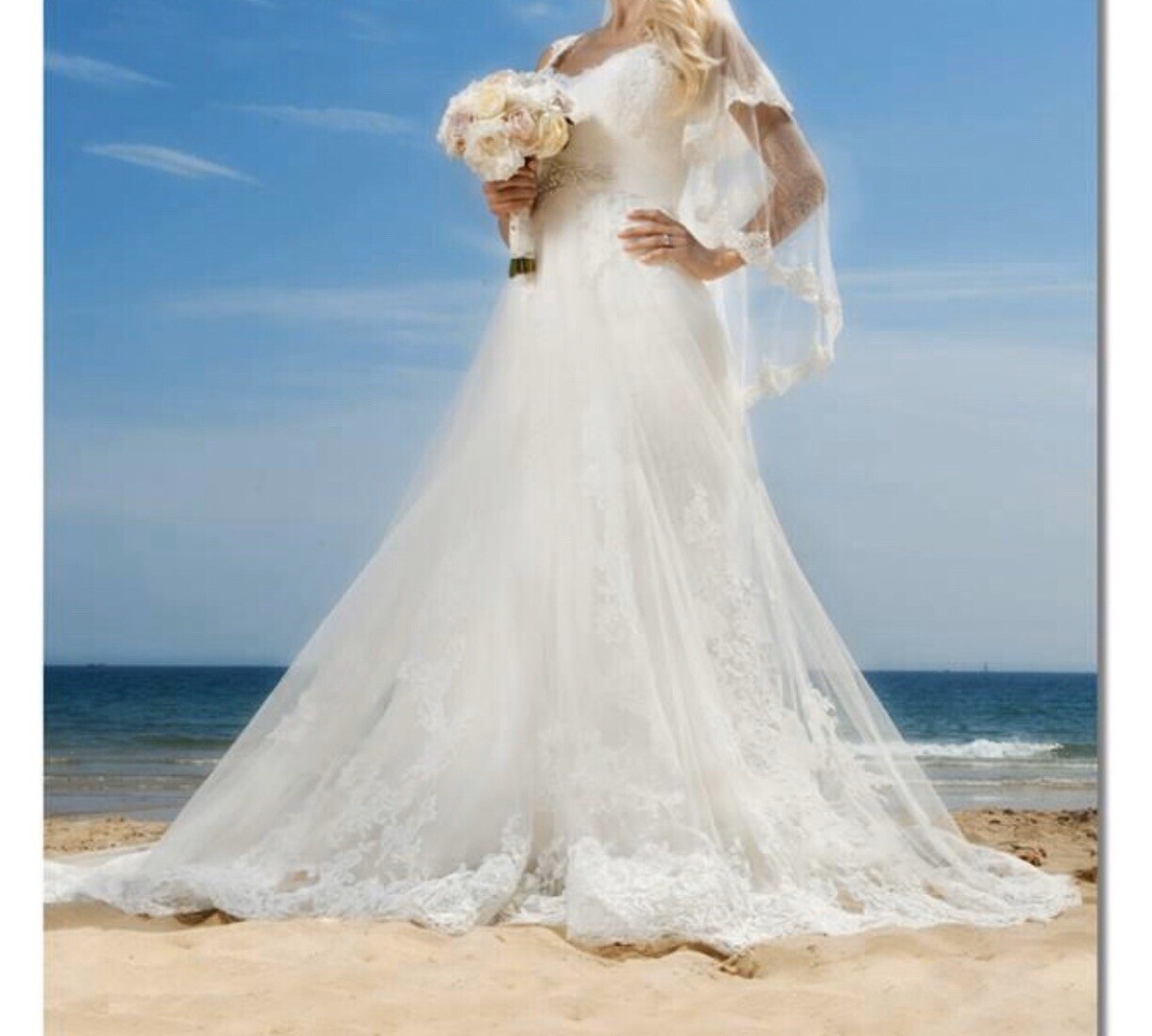 PRONOVIAS PETUNIA WEDDING DRESS SIZE UK6 Inc:Vail ,belt and Lace Cropped  Jacket. | eBay UK
