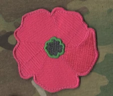 DAESH BASHER GREEN BERETS BRITISH SAS SP OPS in NORTHERN IRAQ: LEST WE FORGET