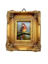 Painting Red Macaw Miniature Oil on Board Framed Art Decor Gift