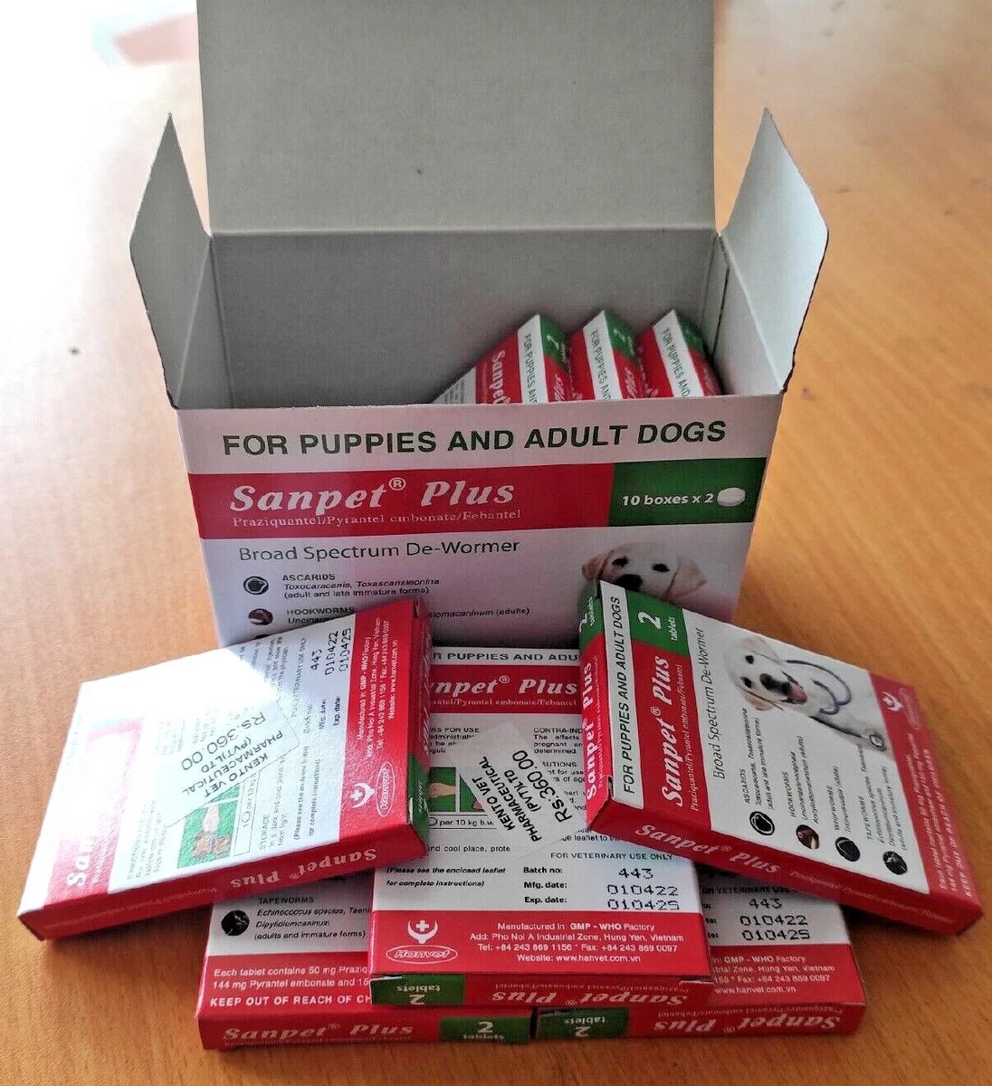 Tapeworm medication hotsell for puppies