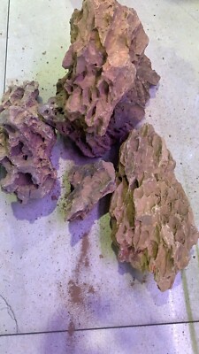 dragon stone 10lb for aqua scape avg size 3-15'' random dragon stone