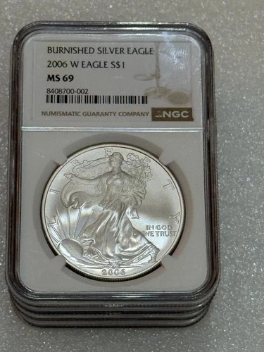 2006 W BURNISHED SILVER EAGLE NGC MS 69 ~~ BROWN LABEL ~~ PRISTINE ~~ NO SPOTS