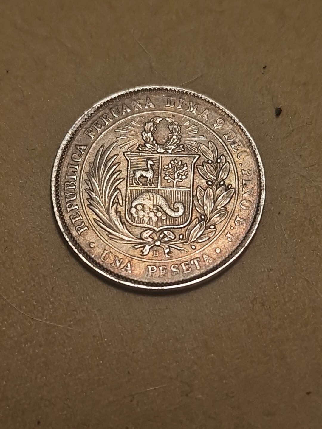 Foto 4 di 4