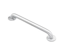 Moen 8748 Home Care Grab Bar For Bathroom Handicap Safety in Stainless Steel