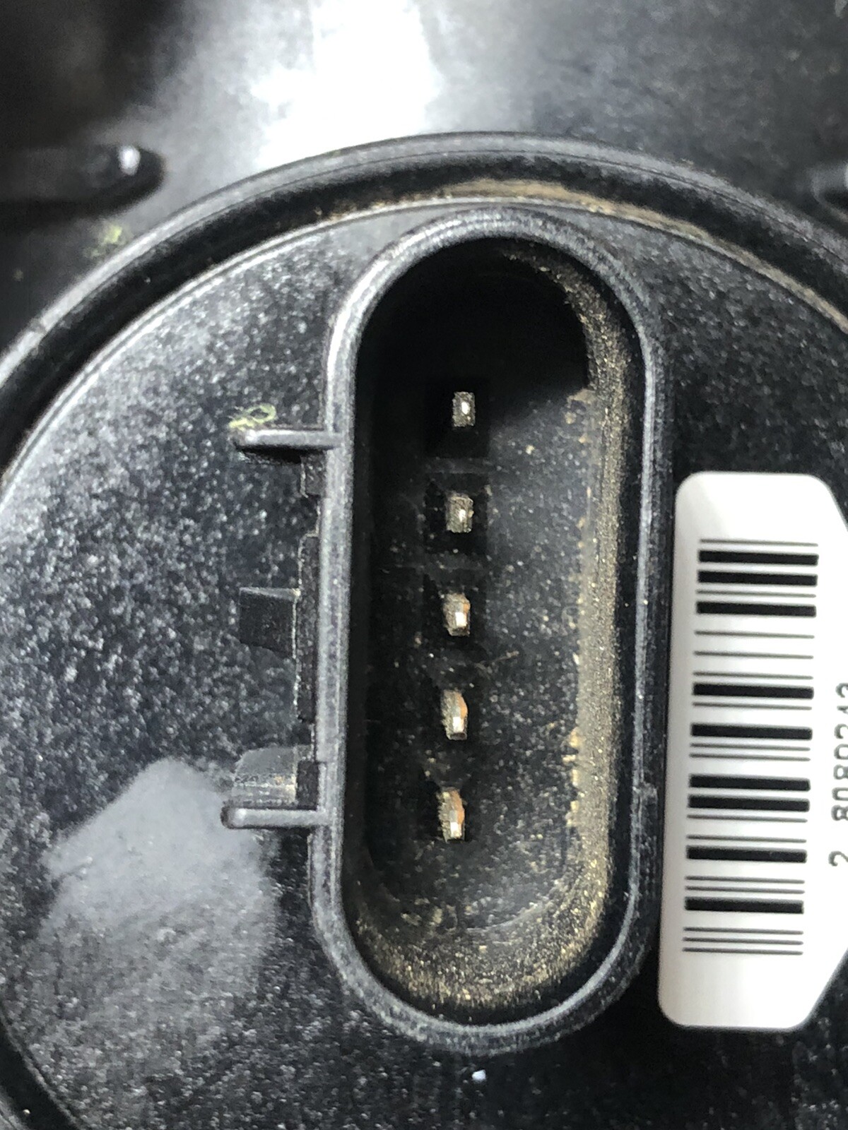 Picture 5 of 5