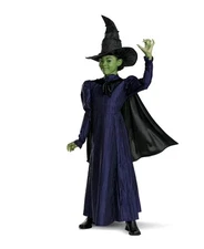 Wicked Elphaba Movie Deluxe Child Costume Dress Cape & Hat Kids Small 4-6 Witch