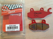 Brembo Bremsbelag Bremsbeläge SP Sinter hint...