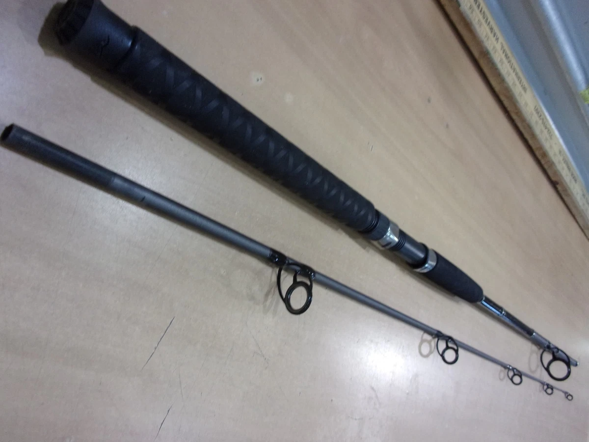 Berkley Fishing Rods & Poles 6 Guides | eBay