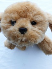 little live pets snuggles my dream hvalp