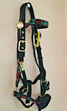 Showman Nylon Combination Trail Halter Bridle & Reins AZTEC Design 5004