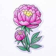 Peony Sticker - Indiana State Flower - Waterproof Vinyl