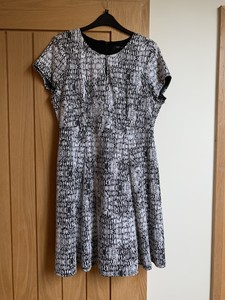 m&co petite dresses
