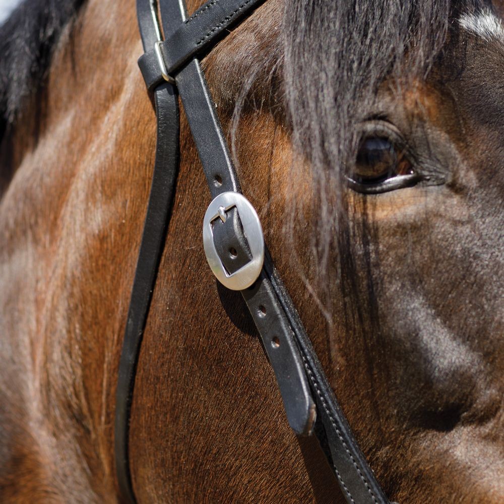 Billy Royal Black Leather Browband Headstall | Size 35"- 42" | Full Horse