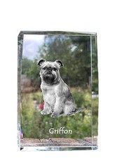 Brussels Griffon, Griffon Bruxellois - Crystal With A Dog Image, Image In Gl