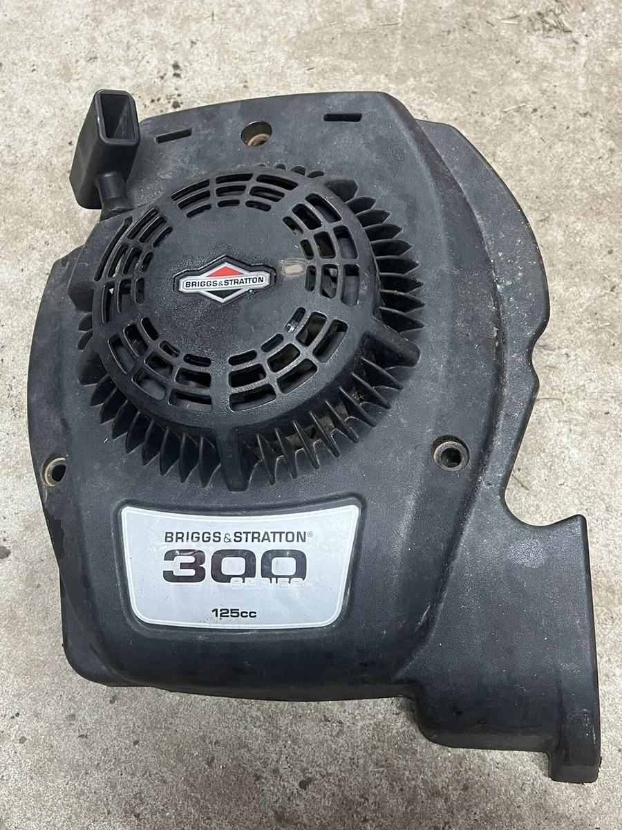 Briggs and stratton 300 series hot sale