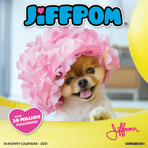 jiffpom for sale