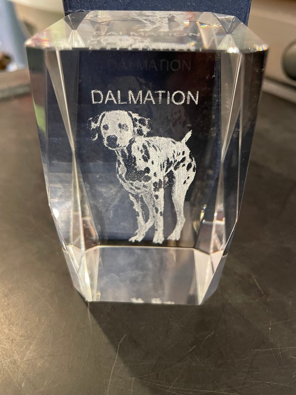 Dalmatian dog Lucite cube paperweight in original box