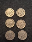 6 Nice Vintage 1921 Buffalo Nickel Coin Collection