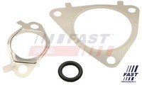 Fast FT50617 Dichtungssatz FüR Agr-System