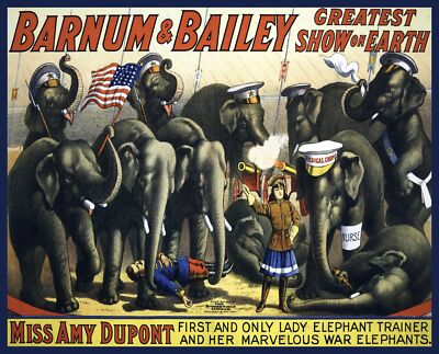 Decoration Poster.Home room art.Interior design.Barnum Circus.Elephant show.7368