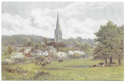 Dorking von A R Quinton unbenutzt - Lachs 1511