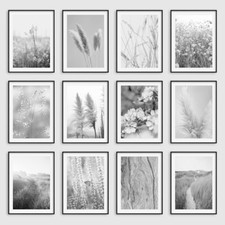 Black & White Botanical Posters Wall Art Prints Bedroom Living Room Pictures