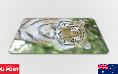 MOUSE PAD DESK MAT ANTI-SLIP|TIGER 17