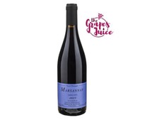 SYLVAIN PATAILLE MARSANNAY 2023 VINO ROSSO BIO COTE DE NUITS BORGOGNA FRANCIA