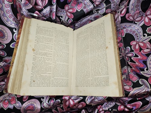 HOME MAGAZINE Womens Fireside Monthly 1859 Historical Housewife Magazine 1850s - Picture 17 of 23