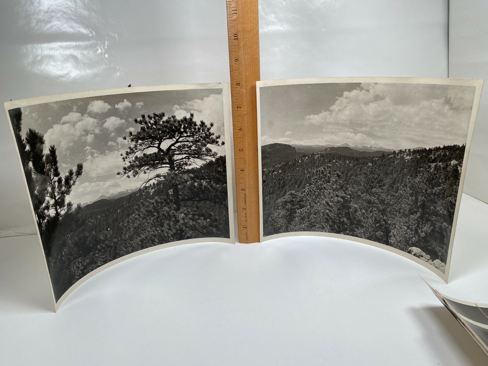 Vintage Lake Mountains Valley Pine Fir Trees Scenery 1950s 8x10 ...
