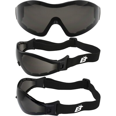 Birdz Boogie Freefall Fallschirmspringen Paragliding Parachute Para Sportbrille + Tasche