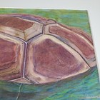 Bild 6 von 8