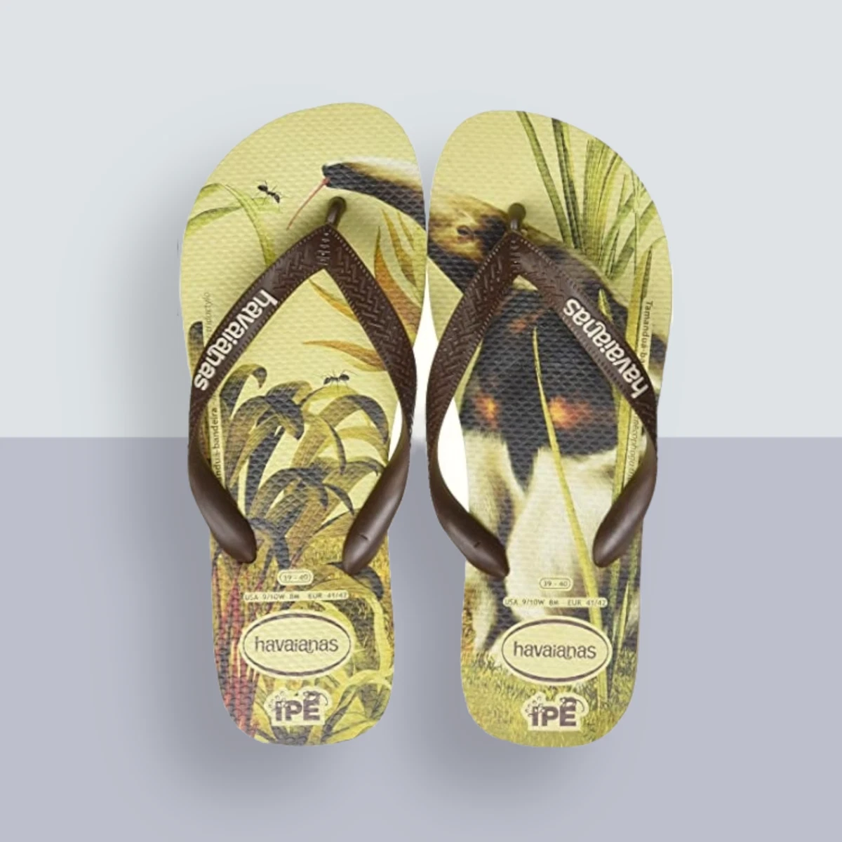 Are havaianas sale