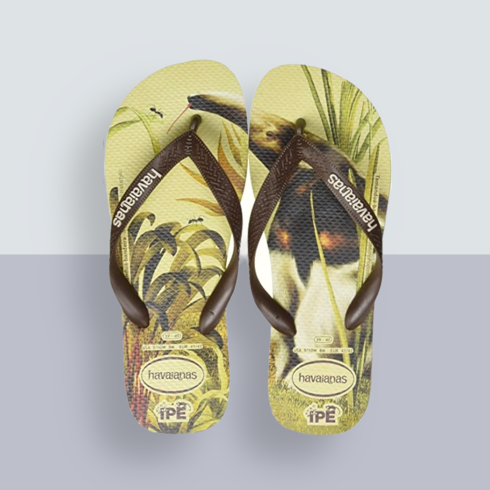 Havaianas IPE, SAND GREY/DARK BROWN, UK 1/2 | eBay