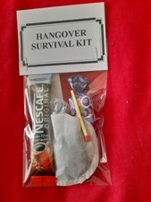10 x Hangover Survival Kits suitable for - Hen Do - Birthday - Wedding Favours 